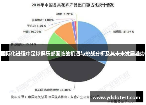 国际化进程中足球俱乐部面临的机遇与挑战分析及其未来发展趋势 国际化进程中足球俱乐部面临的机遇与挑战分析及其未来发展趋势