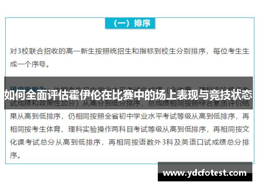 如何全面评估霍伊伦在比赛中的场上表现与竞技状态
