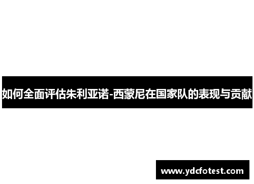 如何全面评估朱利亚诺-西蒙尼在国家队的表现与贡献